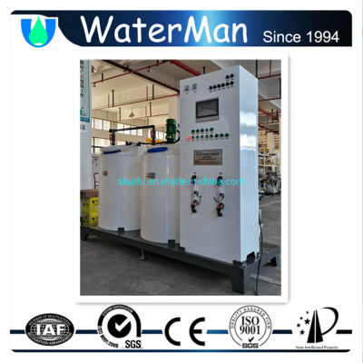 Chlorine Dioxide Generator 200g/H PLC Control for Water Plant