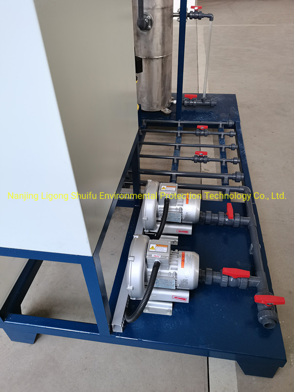 Chlorine Dioxide Gas Generator 800g/H for Flue Gas Denox